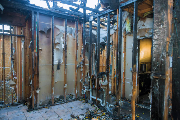 Professional Fire Damage Removal technician working in New Auburn, MN