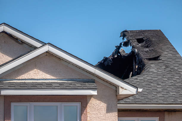 Top rated local Fire Damage Removal specialists in New Auburn, MN
