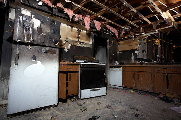 Licensed Fire Damage Removal service in New Auburn, MN - Fire Damage Flint